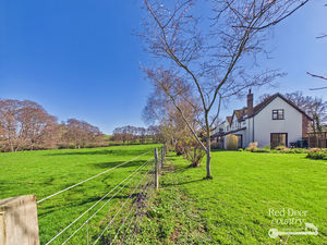 Field View- click for photo gallery